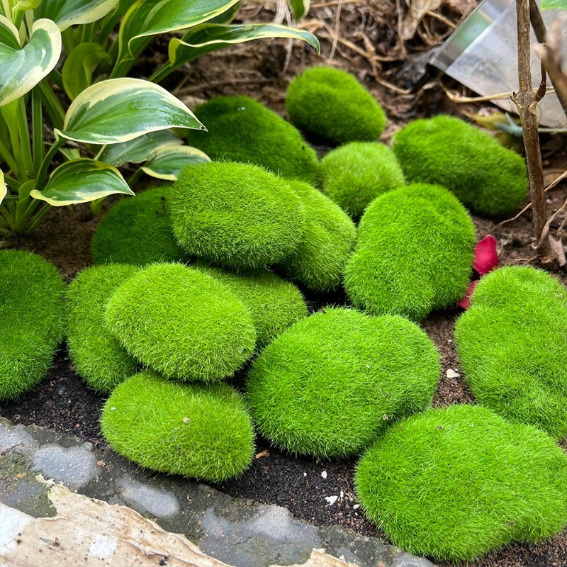5/30pcs Simulation Moss Stone  - Bonsai Rock Garden recension och pris