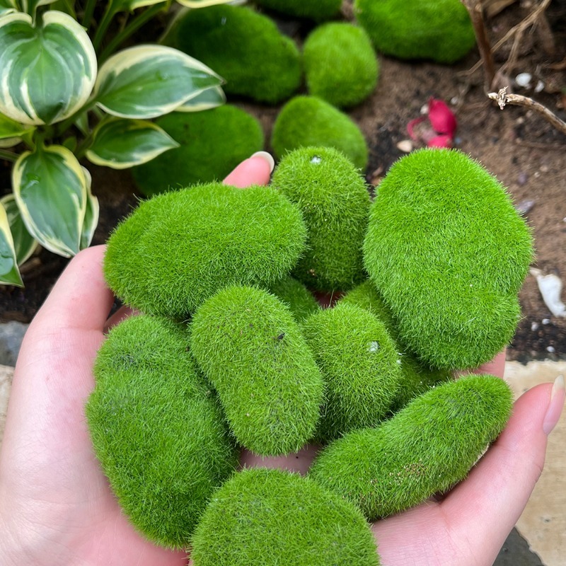 5/30pcs Simulation Moss Stone  - Bonsai Rock Garden recension och pris
