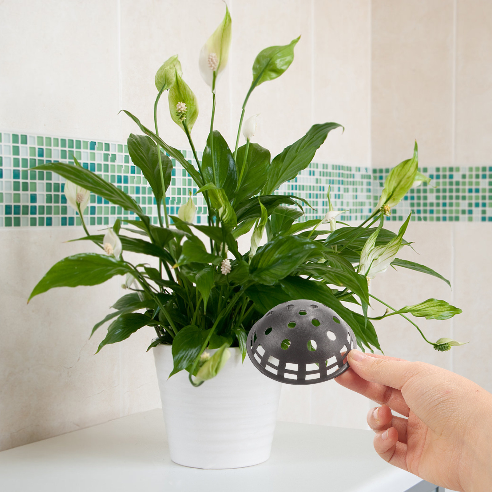 10Pcs Flower Pot Hole Mesh Pad - Bonsai Garden And Cafe recension och pris