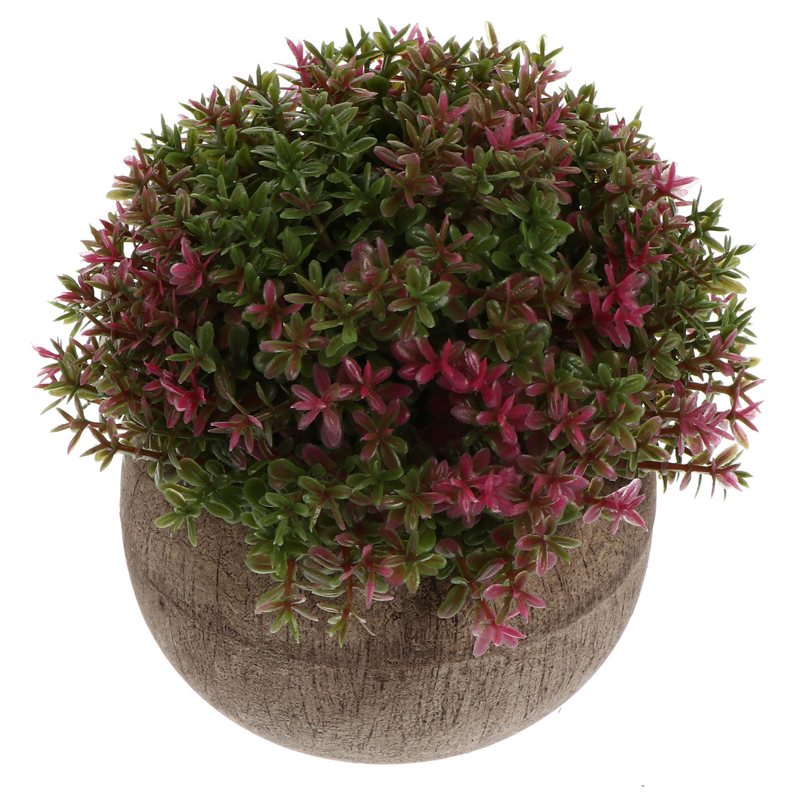 Mini Plastic Bonsai Realistic  - Bonsai Garden And Cafe recension och pris