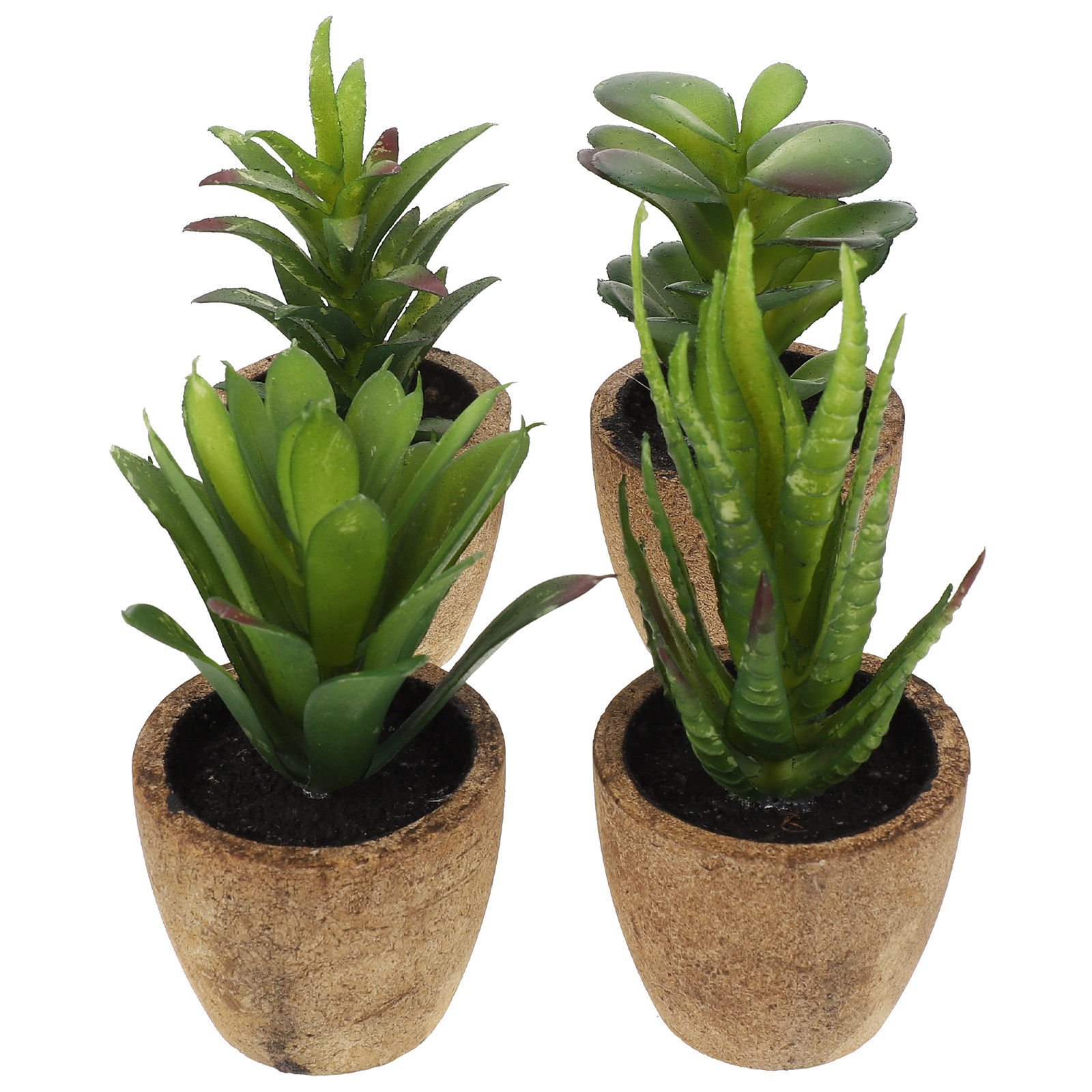 4Pcs Simulation Succulent Bons - Bonsai Garden And Cafe recension och pris